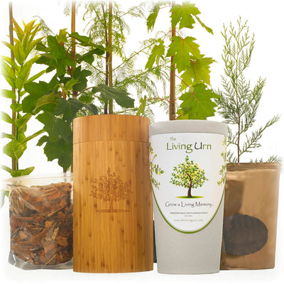 Living Urn System Only (use with your own tree, plant or flowers) - Two Rivers